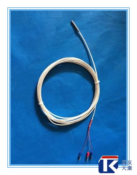 補償導線式熱電阻/WZPT-104、025/pt100熱電阻
